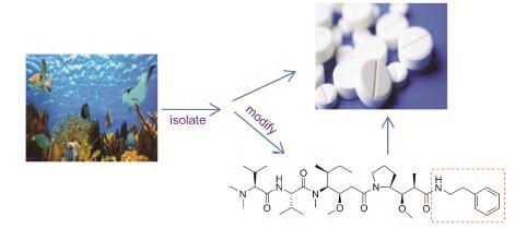 海洋生物活性肽在药物研发中的应用进展